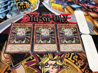 Hanafuda Mamoru - Cherry Blossom Curtain - Normal, set of 3, Tera