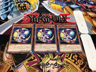 月光紫蝶 ノーマル 3枚セット てら