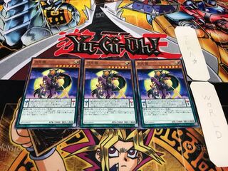 Lunalight Wolf Normal Set of 3 Tera