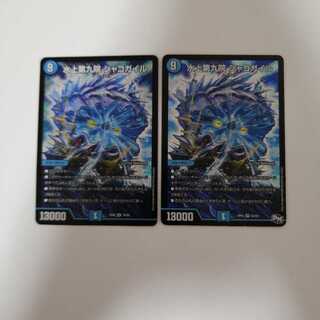 水上第九院 シャコガイル