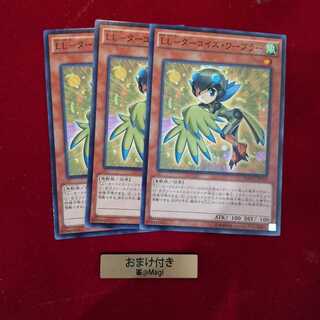 LL-ターコイズ・ワーブラー ノーマル