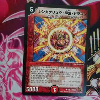 シンカゲリュウ柳生ドラゴン