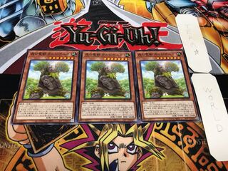 Carpiponica, Mystical Beast of the Forest Normal 3-card set Terra