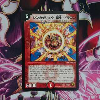 シンカゲリュウ・柳生・ドラゴン