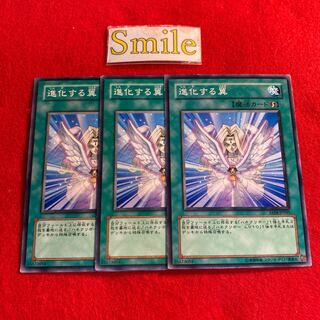 進化する翼#1246