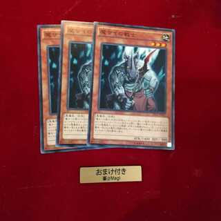 魔サイの戦士 ノーマル