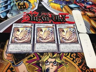 Gairyu Guyarm, normal, set of 3, Tera.