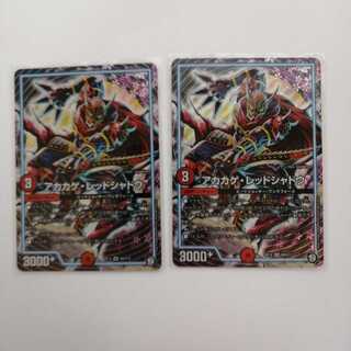 Red Lizard Red Shadow