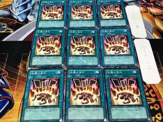 Card of Safe Return Normal 9-card set Tera