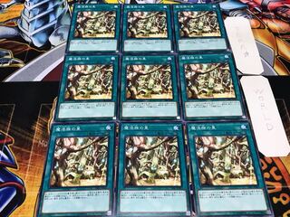 魔法族の里 ノーマル 9枚セット てら