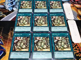 魔法族の里 ノーマル 9枚セット てら