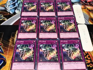 神の摂理 ノーマル 9枚セット てら