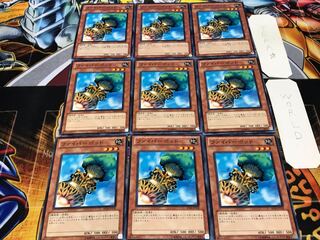 ファイバーポッド ノーマル 9枚セット てら