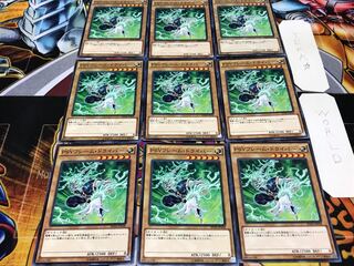 PSYフレーム・ドライバー ノーマル 9枚セット てら