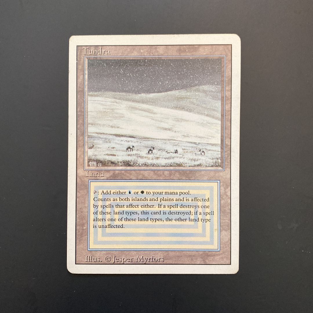 MTG Tundra 英語　状態良好