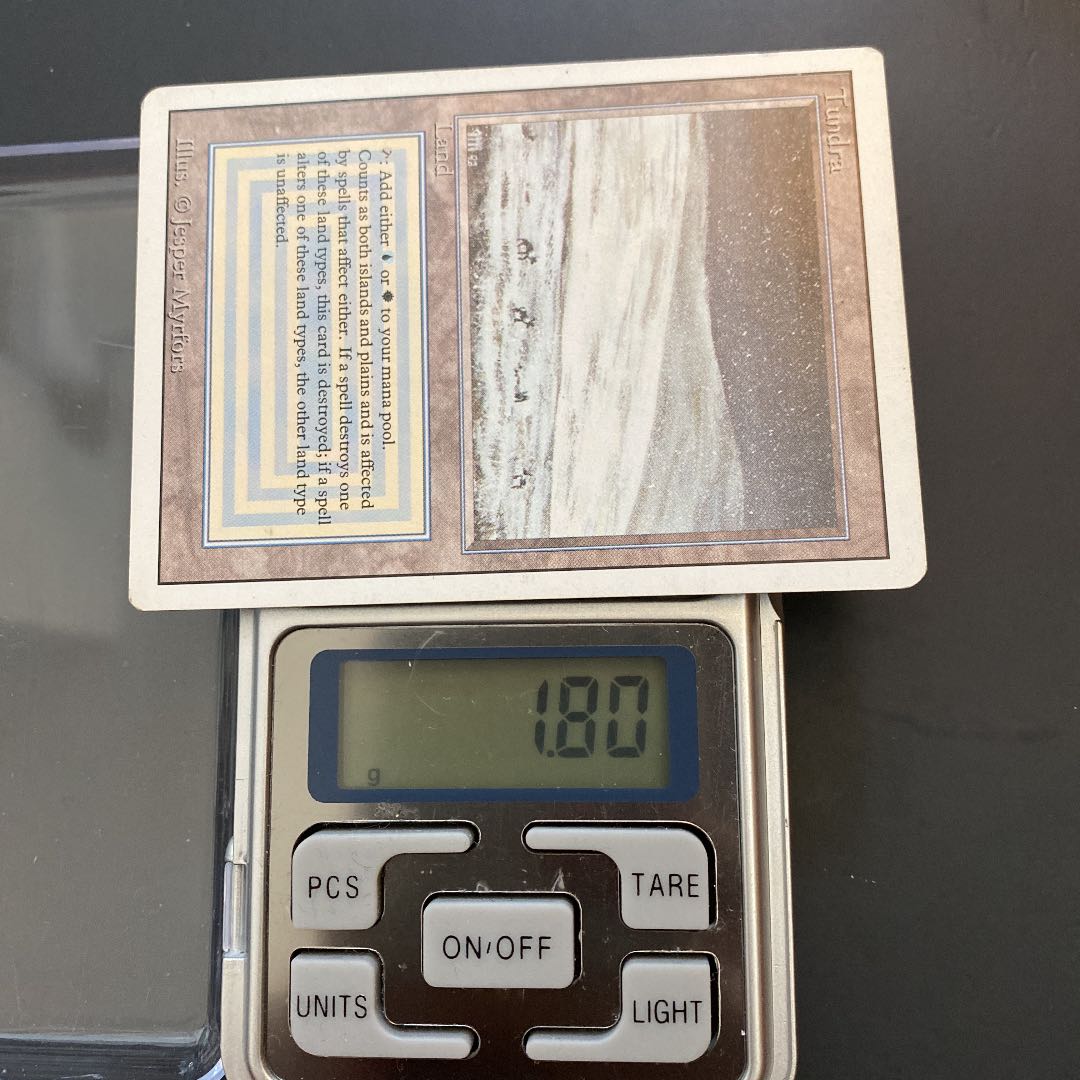 MTG Tundra 英語　状態良好