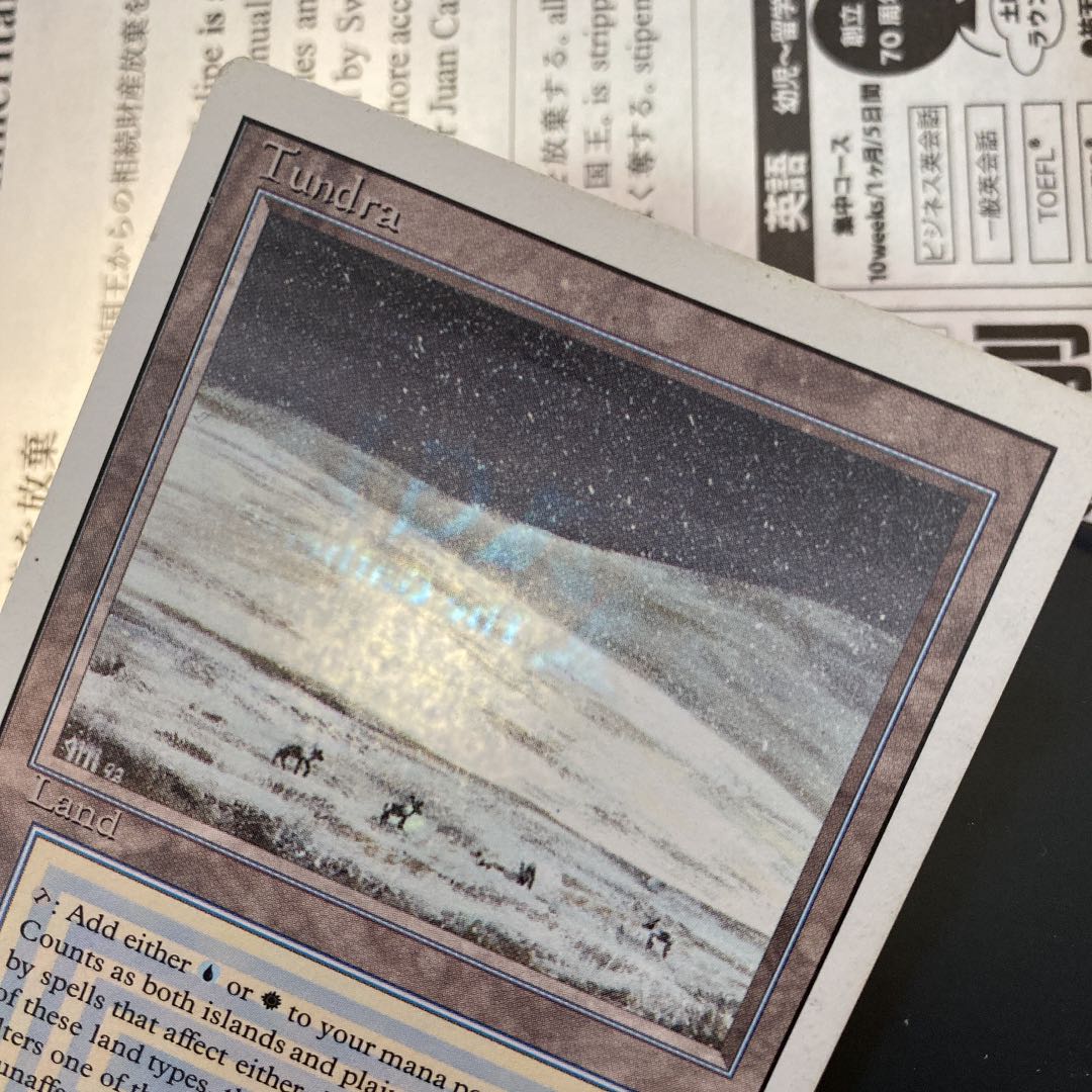 MTG Tundra 英語　状態良好