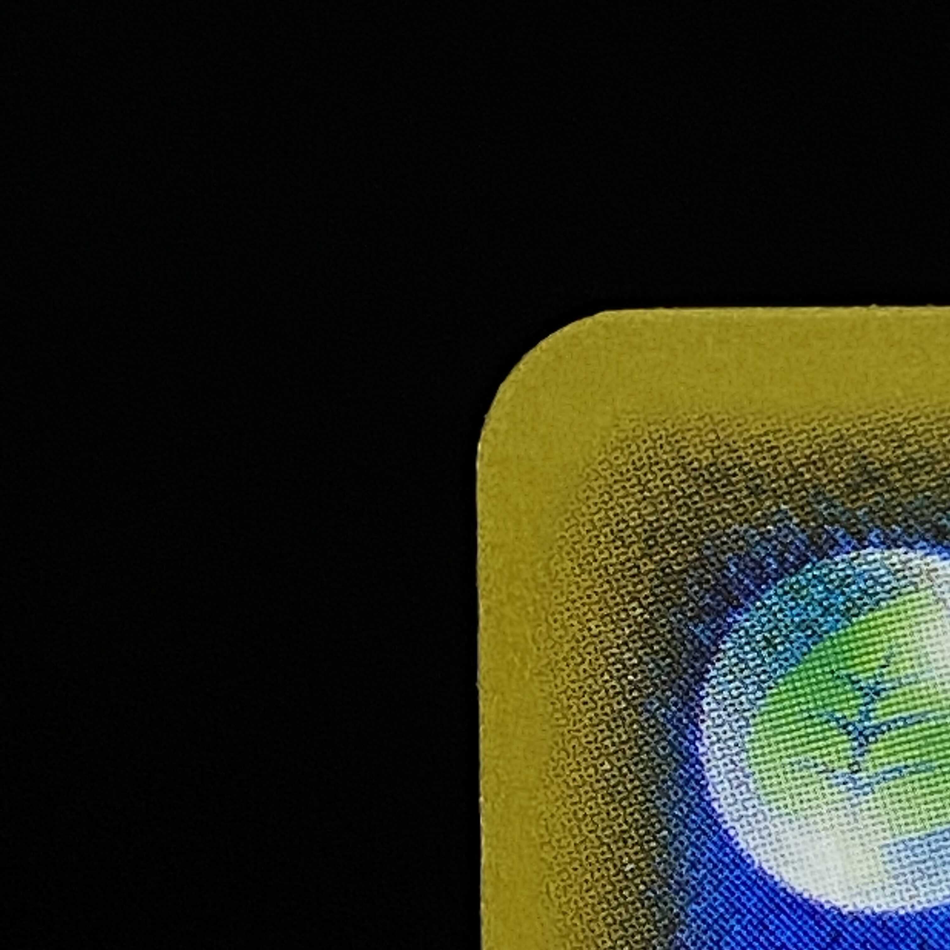 Good luck Lillie SR!