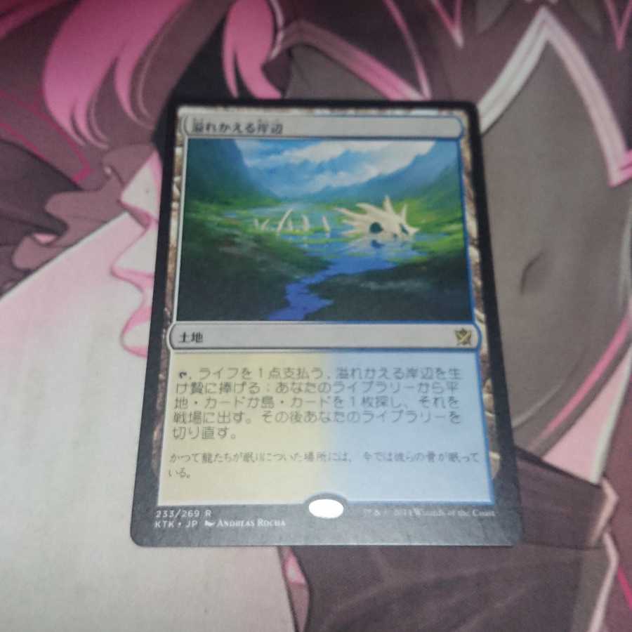 溢れかえる岸辺