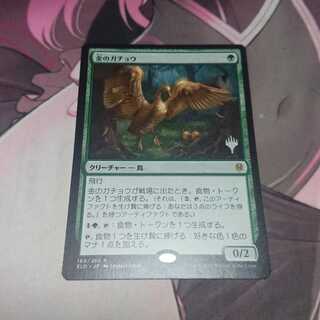 金のガチョウ プロモパック