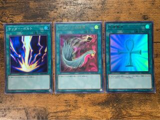 サンダーボルト　死者蘇生　ハーピィの羽根箒