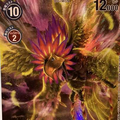 ホウオウモン R