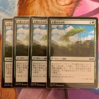 木霊の手の内　日本語　4枚①