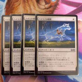 ハイエナの陰影　日本語　4枚②