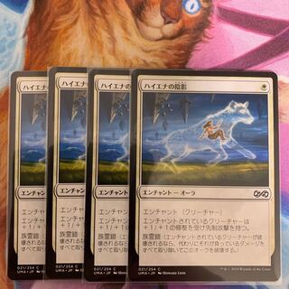 ハイエナの陰影　日本語　4枚③