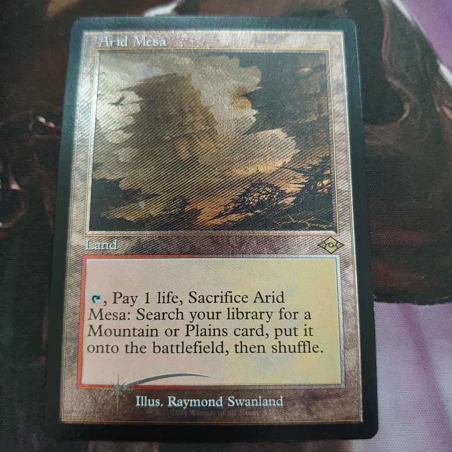 乾燥台地 旧枠 エッチング Foil 2枚まで