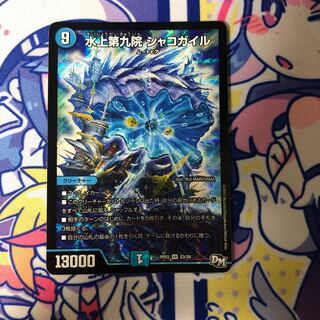 水上第九院 シャコガイル