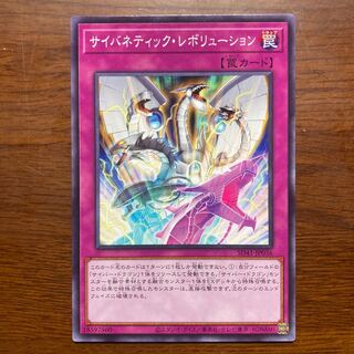 サイバネティック・レボリューション