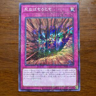 死なばもろとも