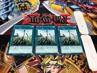 竜の霊廟 レア 3枚セット てら