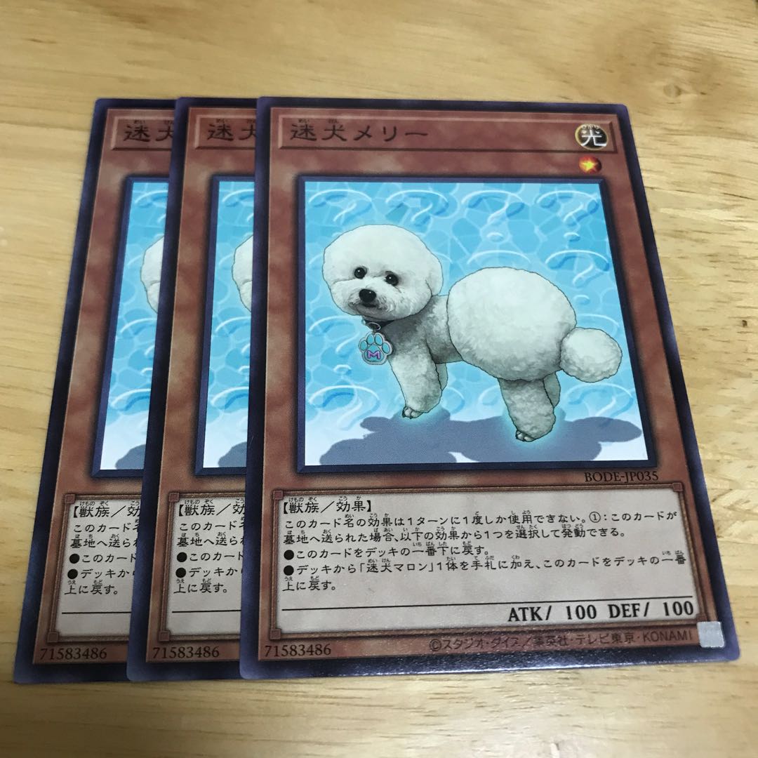 迷犬メリー ノーマルレア　Hulu