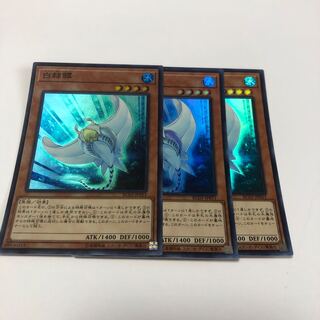 白棘鱏（ホワイト・スティングレイ）　スーパーレア