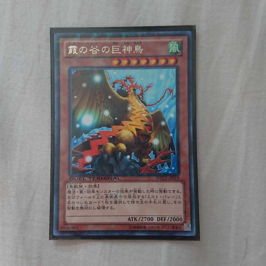 霞の谷の巨神鳥