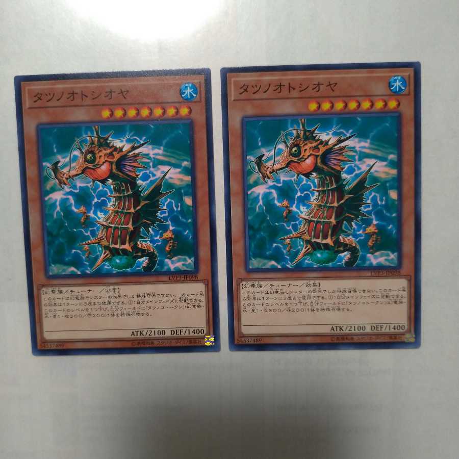 タツノオトシオヤ ノーマル