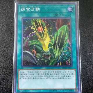 捕食活動[スーパーレア 1枚]