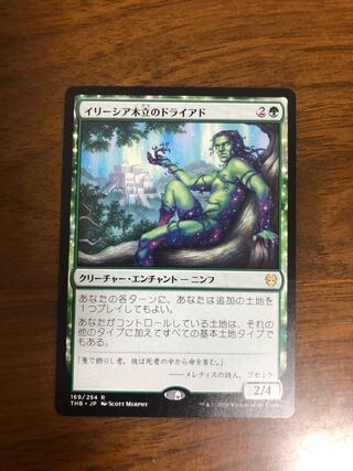 MTG Dryad of the Ilysian Grove Japanese edition 1 copy