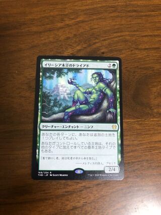 MTG Dryad of the Ilysian Grove Japanese edition 1 copy