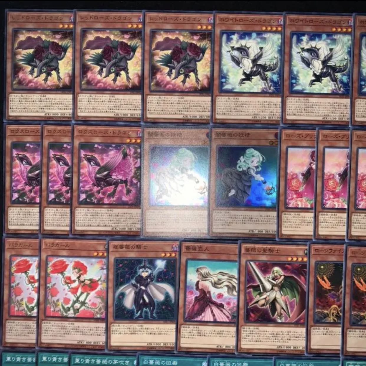 遊戯王　ガチ構築！！ローズドラゴンデッキ40枚+EX15枚B