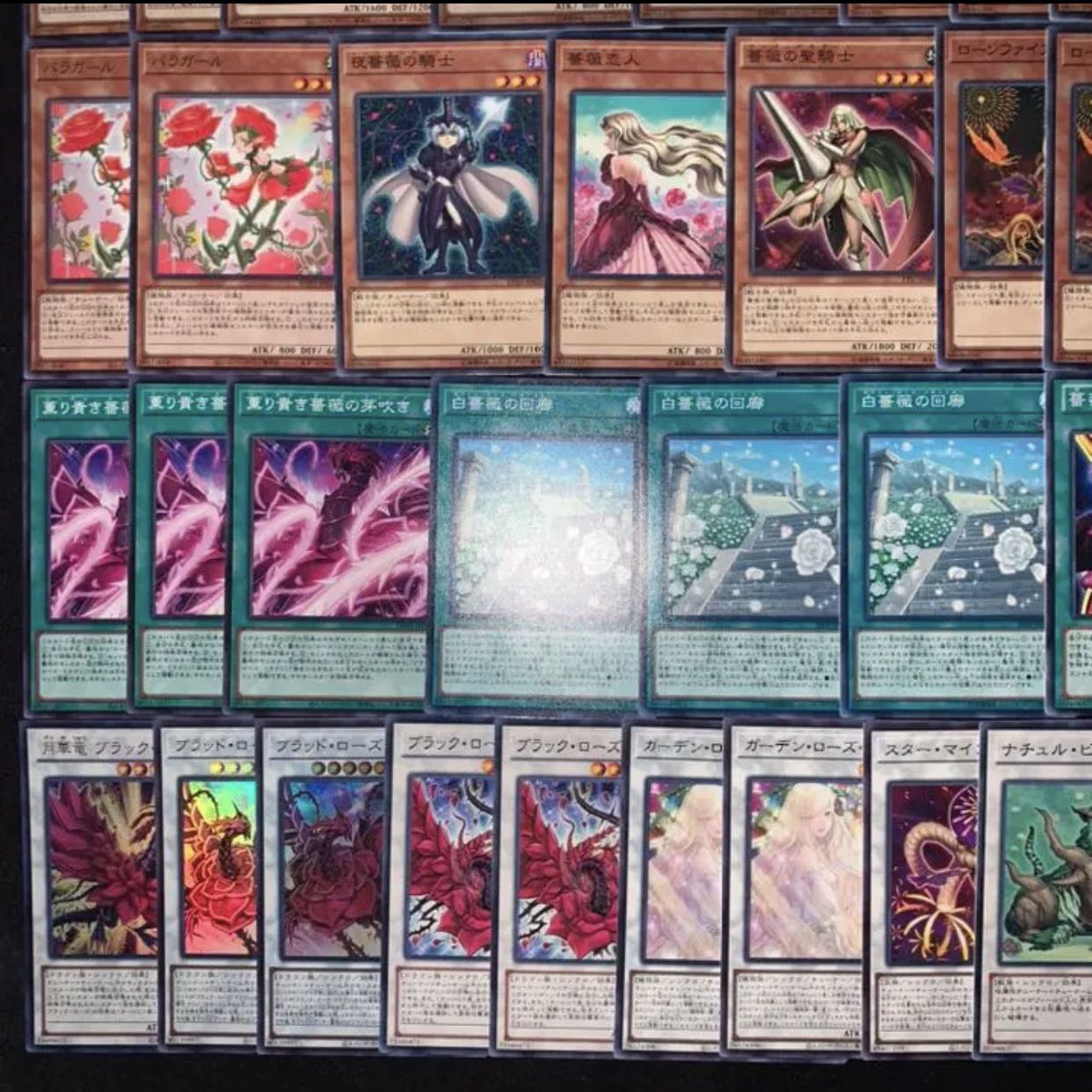 遊戯王　ガチ構築！！ローズドラゴンデッキ40枚+EX15枚B