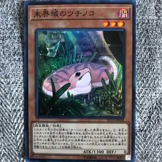 未界域のツチノコ