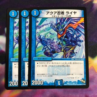 アクア忍者 ライヤ　とろろ昆布様用 1枚