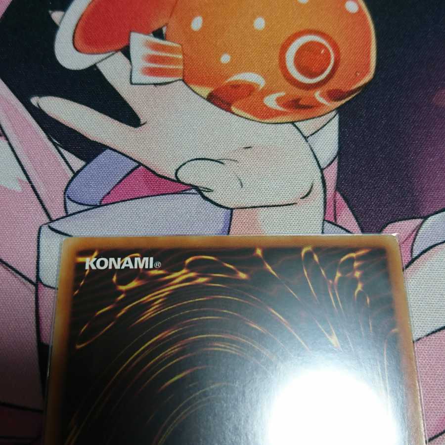 【アジア】清冽の水霊使いエリア シークレットレア