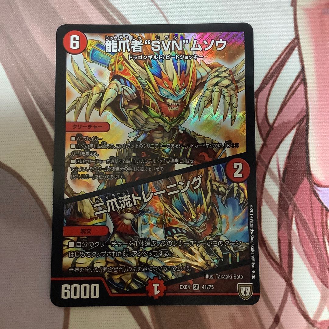 龍爪者“SVN”ムソウ｜二爪流トレーニング　1枚