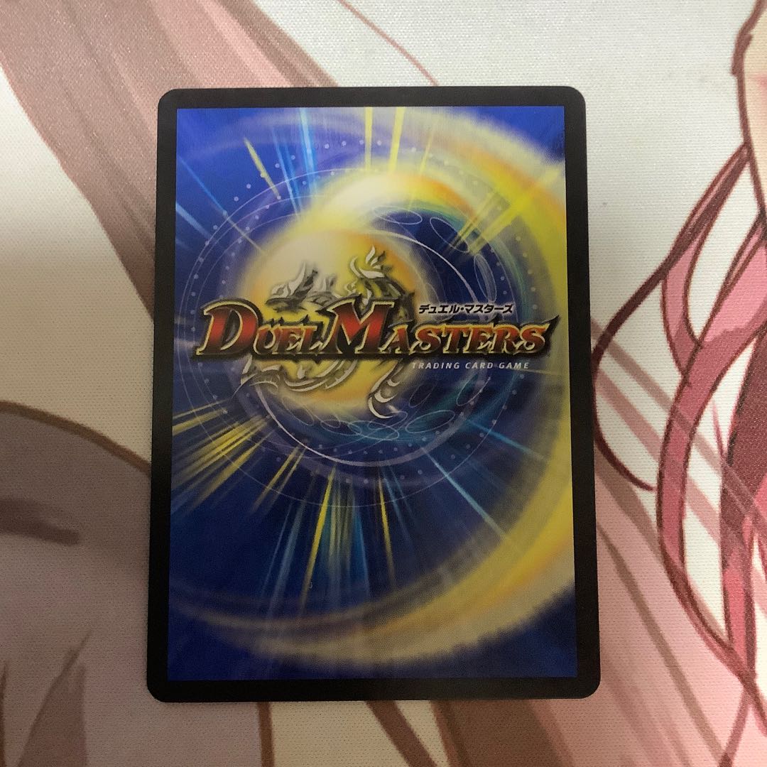 龍爪者“SVN”ムソウ｜二爪流トレーニング　1枚