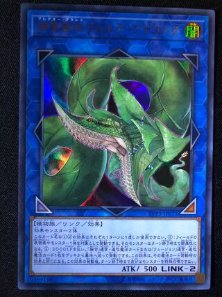 遊戯王　捕食植物ヴェルテ・アナコンダ　UR