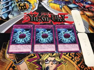 バージェストマ・ディノミスクス EP16 レア 3枚セット てら